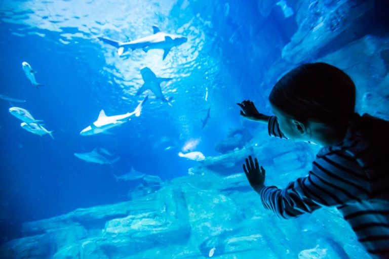 Aquarium de Paris