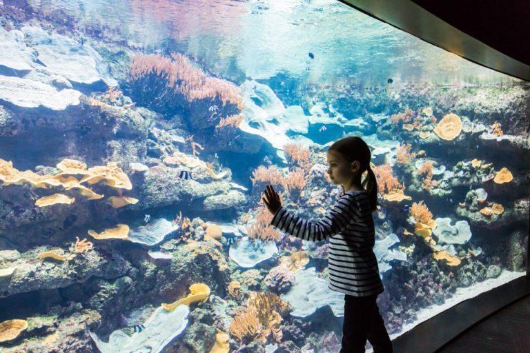 Aquarium de Paris