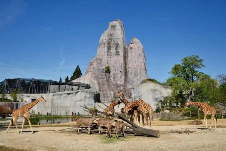 Paris Zoological Park