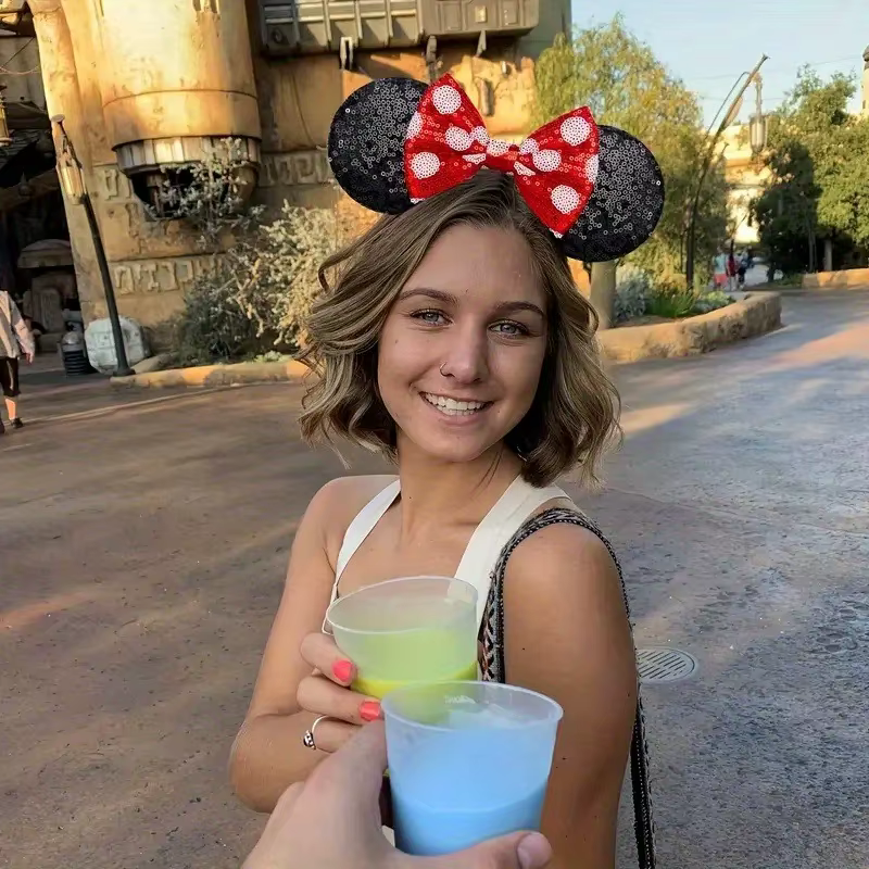 קשתות דיסני (קרדיט עלי אקספרס)