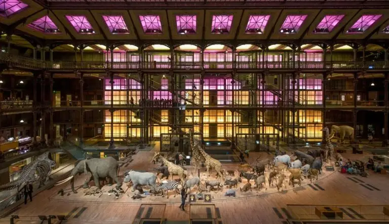 מוזיאון גלריית האבולוציה בפריז - Gallery of Evolution